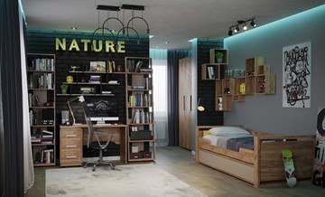 Комната для мальчика Nature в Екатеринбурге