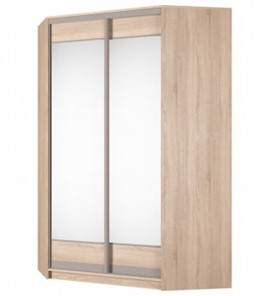 Шкаф угловой Аларти (YA-230х1400(602) (4) Вар. 5; двери D2+D2), с зеркалом в Кушве