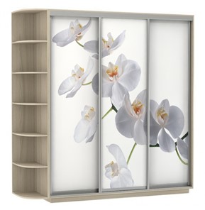 Шкаф Экспресс со стеллажом, 2700х600х2400, Орхидея белая/шимо светлый в Богдановиче