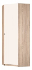 Угловой шкаф распашной Реал (YR-230х884-TR (9)-М Вар.2), без зеркала в Каменске-Уральском