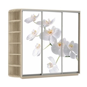Шкаф 3-х дверный Экспресс со стеллажом, 2100х600х2400, Орхидея белая/дуб сонома в Екатеринбурге