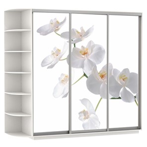 Шкаф Экспресс со стеллажом, 2400х600х2200, Орхидея белая/белый снег в Ревде