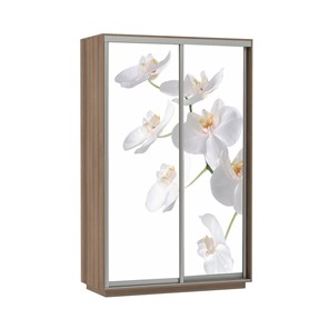 Шкаф 2-дверный Экспресс 1600x600x2400, Орхидея белая/шимо темный в Екатеринбурге