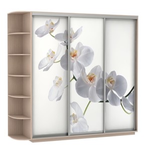 Шкаф 3-х дверный Экспресс со стеллажом, 2700х600х2200, Орхидея белая/дуб молочный в Богдановиче