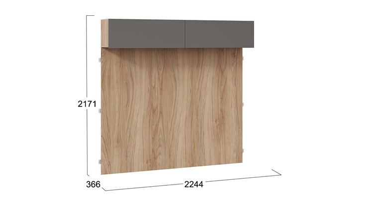 Настенный шкаф с декоративными панелями Порто (366) СМ-393.21.023-24 (Яблоня Беллуно/Графит софт) в Кушве - изображение 4