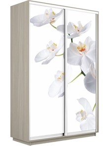 Шкаф 2-х дверный Экспресс 1200x450x2200, Орхидея белая/шимо светлый в Ревде