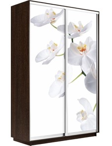 Шкаф Экспресс 1200x450x2200, Орхидея белая/венге в Ревде