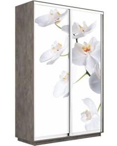 Шкаф 2-х створчатый Экспресс 1200x450x2400, Орхидея белая/бетон в Екатеринбурге
