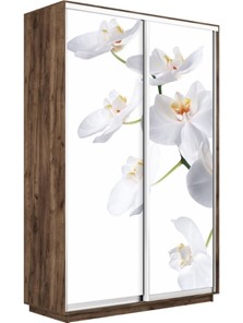 Шкаф 2-створчатый Экспресс 1200x450x2400, Орхидея белая/дуб табачный в Екатеринбурге - предосмотр