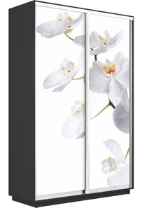 Шкаф 2-х створчатый Экспресс 1200x450x2400, Орхидея белая/серый диамант в Екатеринбурге