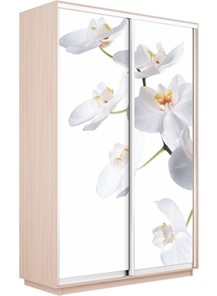 Шкаф 2-х дверный Экспресс 1200x600x2200, Орхидея белая/дуб молочный в Екатеринбурге