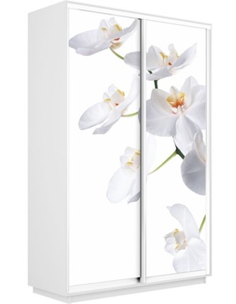 Шкаф-купе 2-х дверный Экспресс 1200x600x2400, Орхидея белая/белый снег в Екатеринбурге - изображение