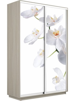 Шкаф-купе двухдверный Экспресс 1400x600x2200, Орхидея белая/шимо светлый в Екатеринбурге - изображение