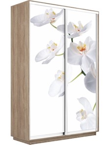 Шкаф 2-х створчатый Экспресс 1600x450x2400, Орхидея белая/дуб сонома в Краснотурьинске