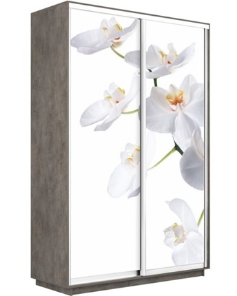 Шкаф-купе 2-х дверный Экспресс 1600x600x2400, Орхидея белая/бетон в Екатеринбурге - изображение