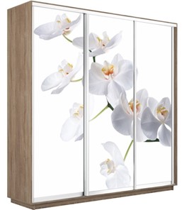 Шкаф 3-х дверный Экспресс 1800х450х2200, Орхидея белая/дуб сонома в Екатеринбурге - предосмотр