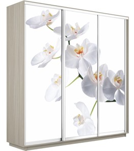 Шкаф 3-створчатый Экспресс 1800х450х2200, Орхидея белая/шимо светлый в Кушве