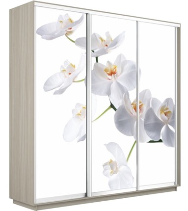Шкаф 3-створчатый Экспресс 1800х450х2200, Орхидея белая/шимо светлый в Екатеринбурге - изображение