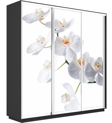 Шкаф-купе 3-х дверный Экспресс 1800х450х2400, Орхидея белая/серый диамант в Екатеринбурге - изображение