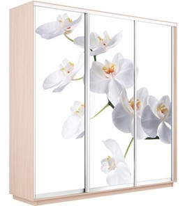 Шкаф 3-дверный Экспресс 1800х600х2200, Орхидея белая/дуб молочный в Екатеринбурге - предосмотр