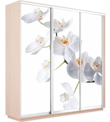 Шкаф 3-дверный Экспресс 1800х600х2200, Орхидея белая/дуб молочный в Екатеринбурге - изображение