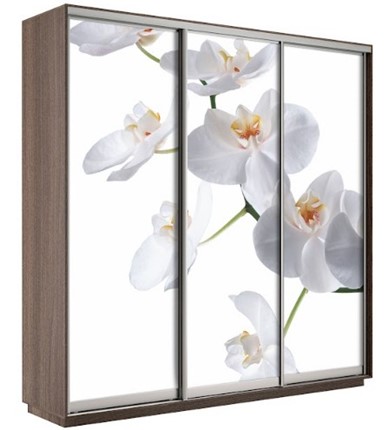 Шкаф 3-дверный Экспресс 1800х600х2400, Орхидея белая/шимо темный в Екатеринбурге - изображение