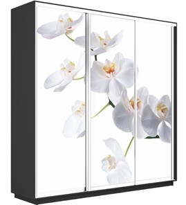 Шкаф трехдверный Экспресс 2100х600х2400, Орхидея белая/серый диамант в Екатеринбурге