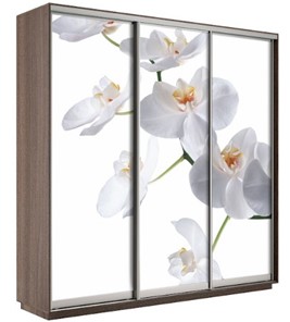 Шкаф 3-х створчатый Экспресс 2100х600х2400, Орхидея белая/шимо темный в Ревде
