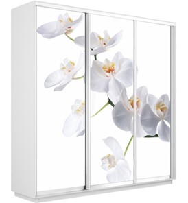Шкаф 3-створчатый Экспресс 2400х450х2200, Орхидея белая/белый снег в Первоуральске