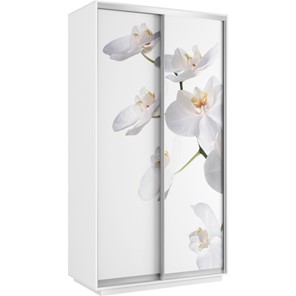 Шкаф 2-створчатый Хит 1200x600x2200, белая орхидея, белый снег в Каменске-Уральском