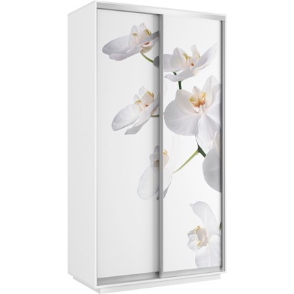 Шкаф 2-створчатый Хит 1200x600x2200, белая орхидея, белый снег в Екатеринбурге - изображение