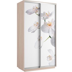 Шкаф 2-х створчатый Хит 1200x600x2200, белая орхидея, дуб молочный в Краснотурьинске
