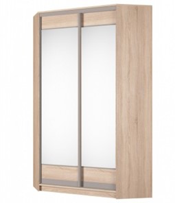 Угловой шкаф Аларти (YA-230х1250(602) (2) Вар. 1; двери D2+D2), с зеркалом в Кушве