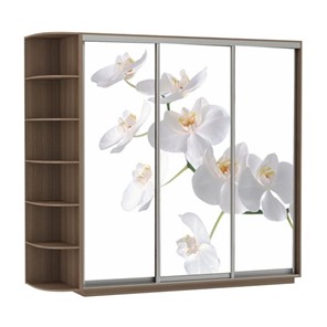 Шкаф 3-створчатый Экспресс со стеллажом, 2400х600х2200, Орхидея белая/шимо темный в Ревде