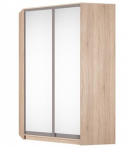 Угловой шкаф-купе Аларти (YA-230х1400(602) (4) Вар. 3; двери D5+D5), с зеркалом в Ревде