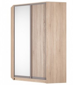 Угловой шкаф Аларти (YA-230х1400(602) (4) Вар. 4; двери D5+D6), с зеркалом в Екатеринбурге