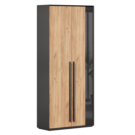 Шкаф для прихожей 2-дверный Неаполь ЛД.134050.000 (Черный/Дуб Золотой) в Ревде - изображение
