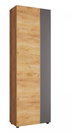 Шкаф распашной Сафари в Артемовском - изображение