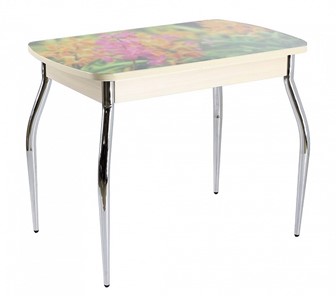 Кухонный стол раскладной ПГ мини СТФ, дуб молочный лдсп/луговые цветы/35 хром гнутые в Ревде