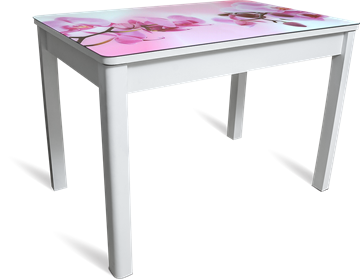 Обеденный стол Айсберг-08 СТФ, белое лдсп/орхидея/40 прямые массив белые в Новоуральске