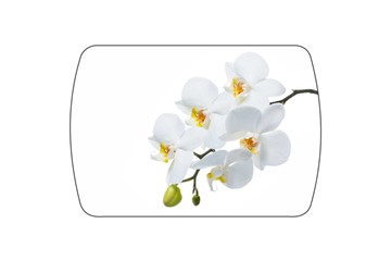 Кухонный раскладной стол Танго, белый/орхидея в Каменске-Уральском - предосмотр 3