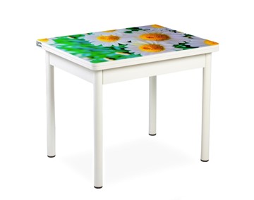 Кухонный пристенный стол СПА-01 СТФ, белый/фотопечать ромашки/опоры прямые белые в Кушве