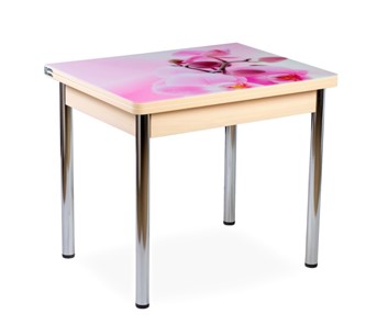 Кухонный пристенный стол СПА-01 СТФ, молочный дуб/фотопечать орхидея/опоры прямые хром в Кушве