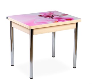 Кухонный пристенный стол СПА-02 СТФ, молочный дуб/фотопечать орхидея/опоры хром в Полевском