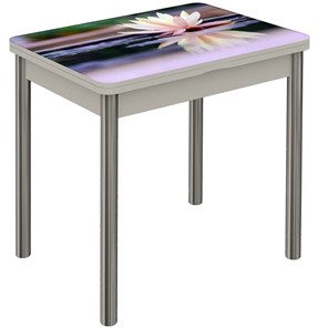 Обеденный раздвижной стол Бари, ноги дерево №8 Фотопечать (Цветы №50) в Кушве