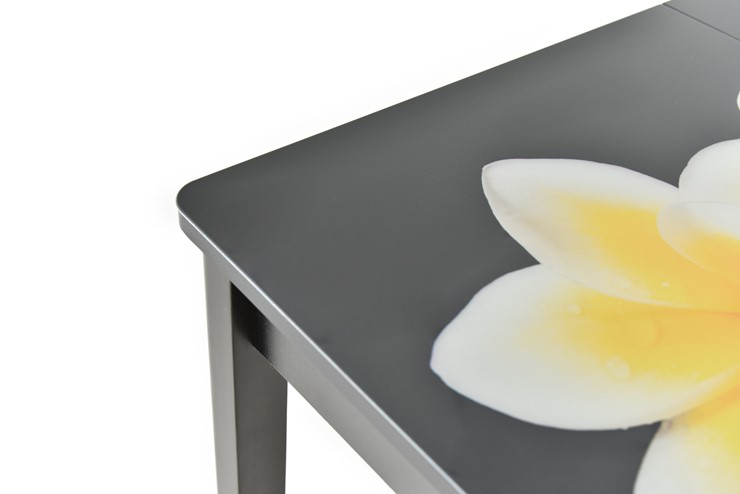 Кухонный стол раскладной Гамбург исп. 1, ноги метал. крашеные №23 (Exclusive h159/белый) в Екатеринбурге - изображение 9