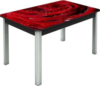 Кухонный раскладной стол Гамбург исп. Мини, ноги метал. крашеные №23, Фотопечать (Цветы №39) в Ревде