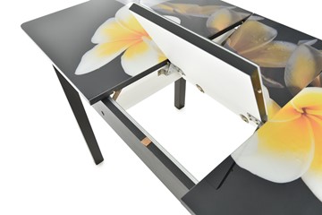 Кухонный раскладной стол Гамбург исп.1 ноги метал. крашеные №23, Фотопечать (Текстура №39) в Первоуральске - предосмотр 5