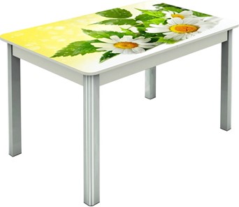 Кухонный раскладной стол Гамбург исп.2 ноги метал. крашеные №23, Фотопечать (Цветы №3) в Кушве