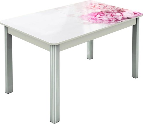 Обеденный раздвижной стол Гамбург исп.2 ноги метал. крашеные №23, Фотопечать (Цветы №49) в Кушве - изображение